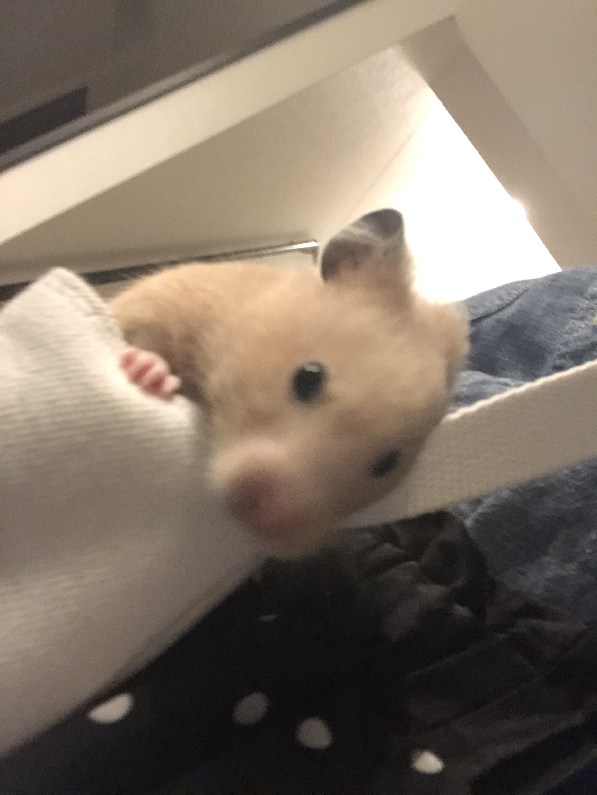 ８月２８日誕生日を迎えました！