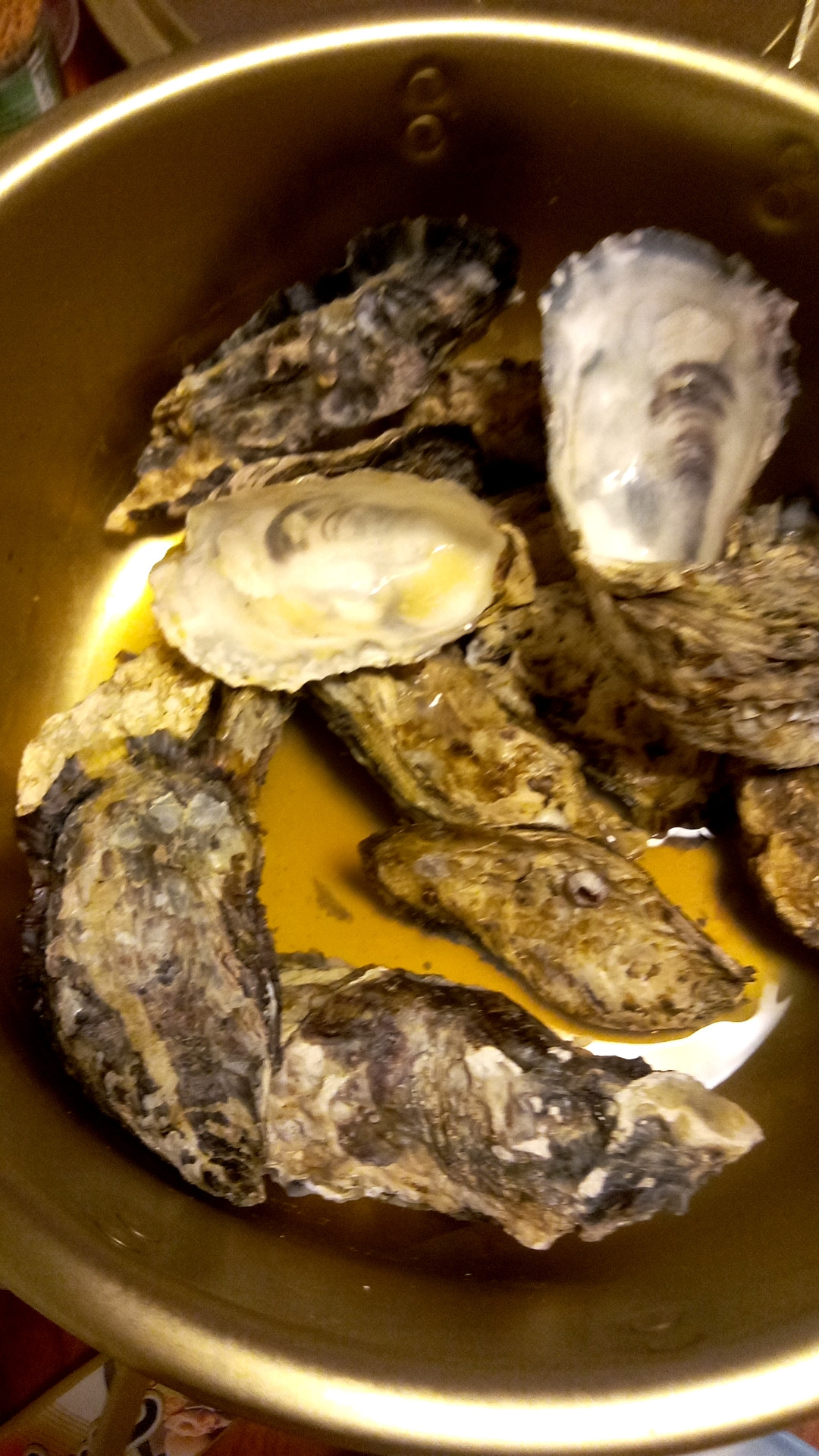 本日酒蒸しで???