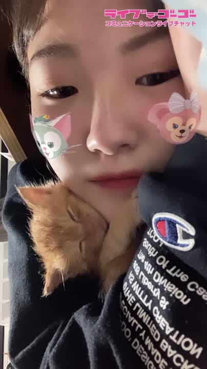 ねこちゃんとウトウト