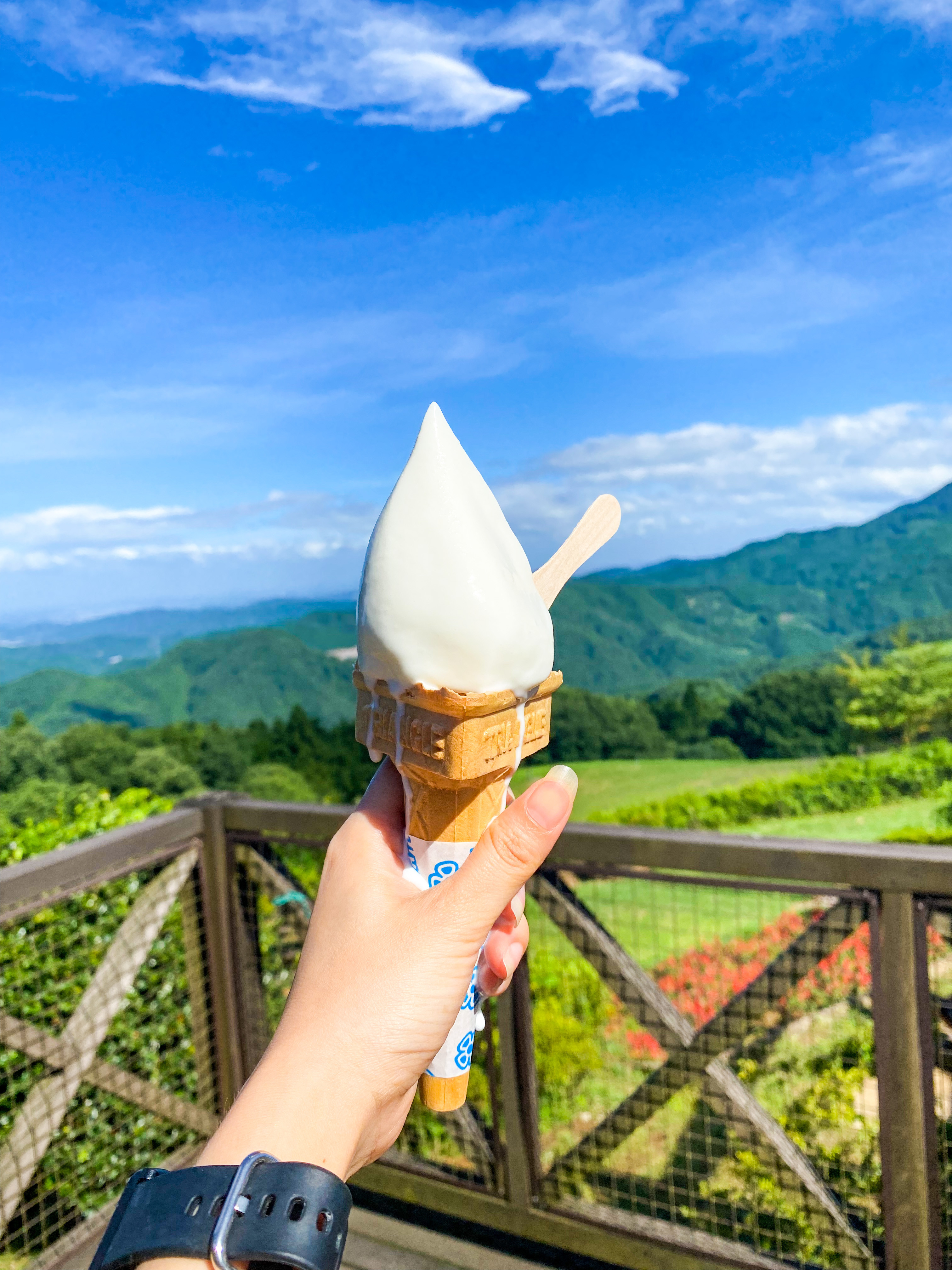 夏はアイスクリーム??