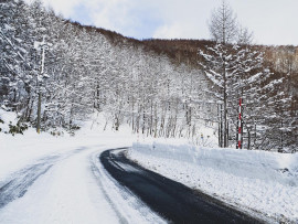 Rainちゃんの2021/1/23 (土) 10:28のブログ