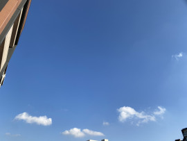 きゃん通りまーす！