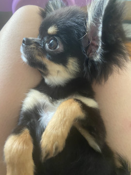 りなちゃんの2021/1/13 (水) 12:46のブログ