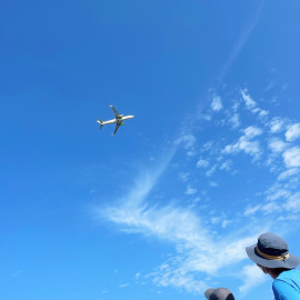 夏！