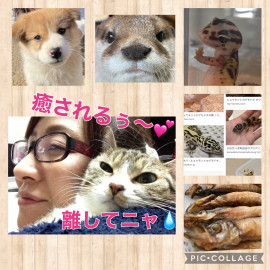 かすみちゃんの2021/2/18 (木) 12:50のブログ