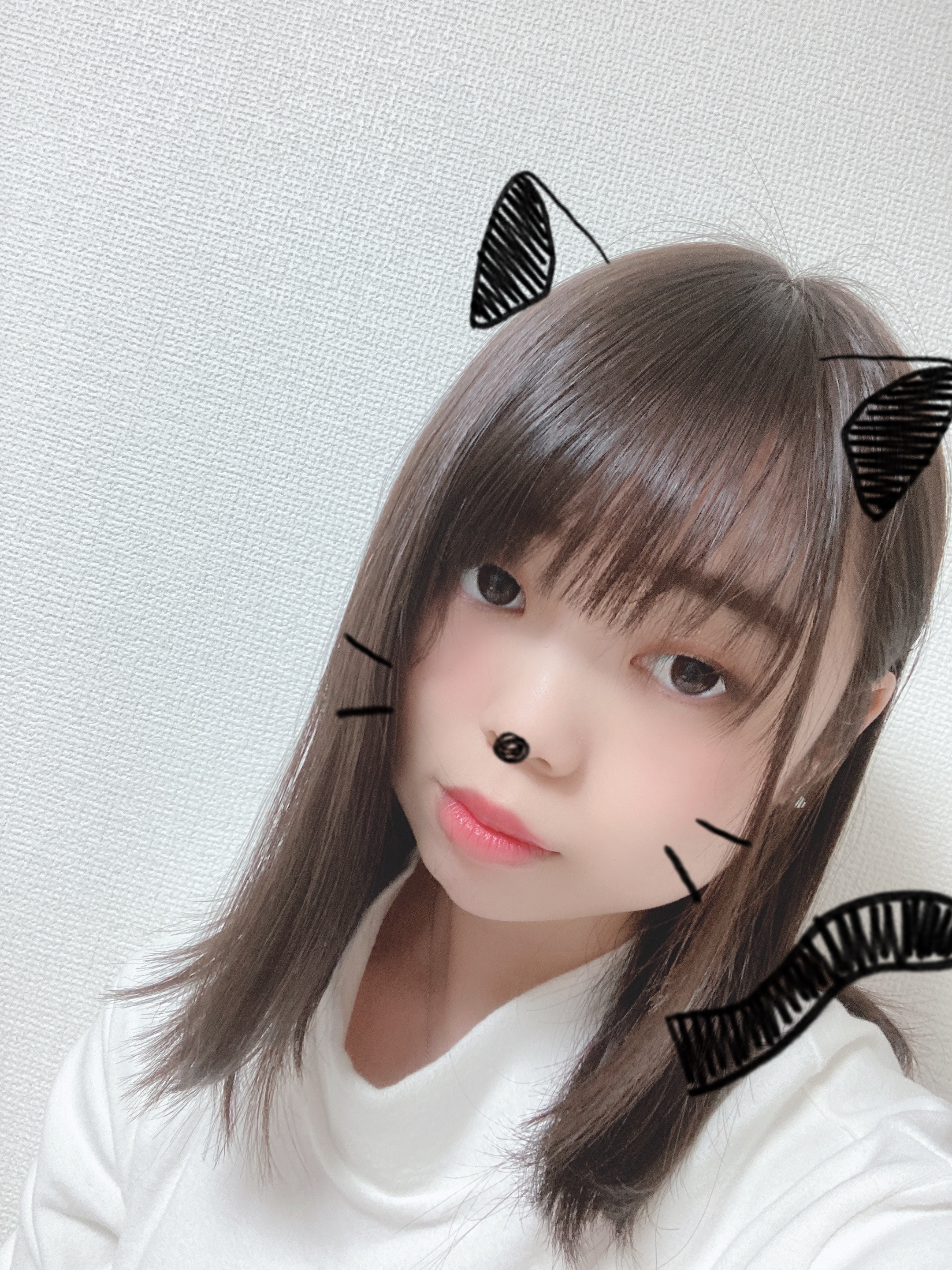 アッシュブラウス