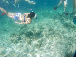 まこぴちゃんの2021/4/26 (月) 07:51のブログ