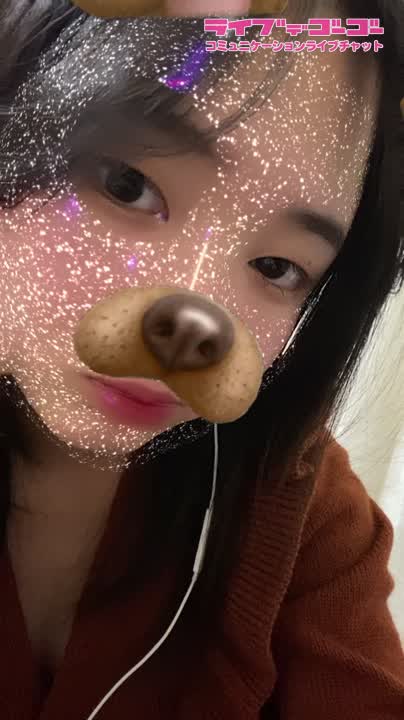 いぬ！