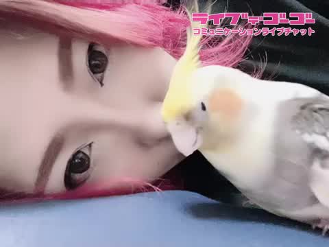 自慢の愛息子