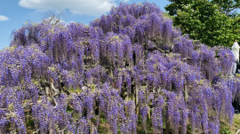 えぬちゃんの2021/4/19 (月) 16:58のブログ