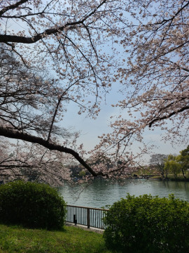 れいちゃんちゃんの2022/4/4 (月) 14:29のブログ