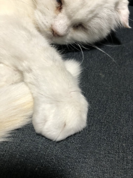 ゆうちゃんの2021/3/10 (水) 22:50のブログ