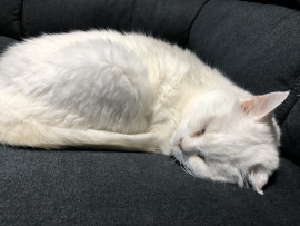 ゆうちゃんの2021/3/7 (日) 08:18のブログ