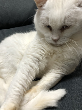 ゆうちゃんの2021/3/2 (火) 20:56のブログ