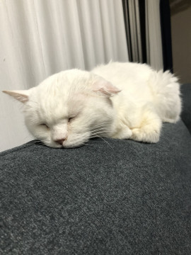 ゆうちゃんの2021/3/4 (木) 13:36のブログ