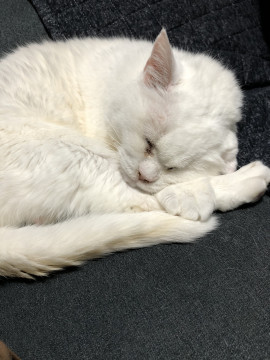 ゆうちゃんの2021/3/2 (火) 22:39のブログ