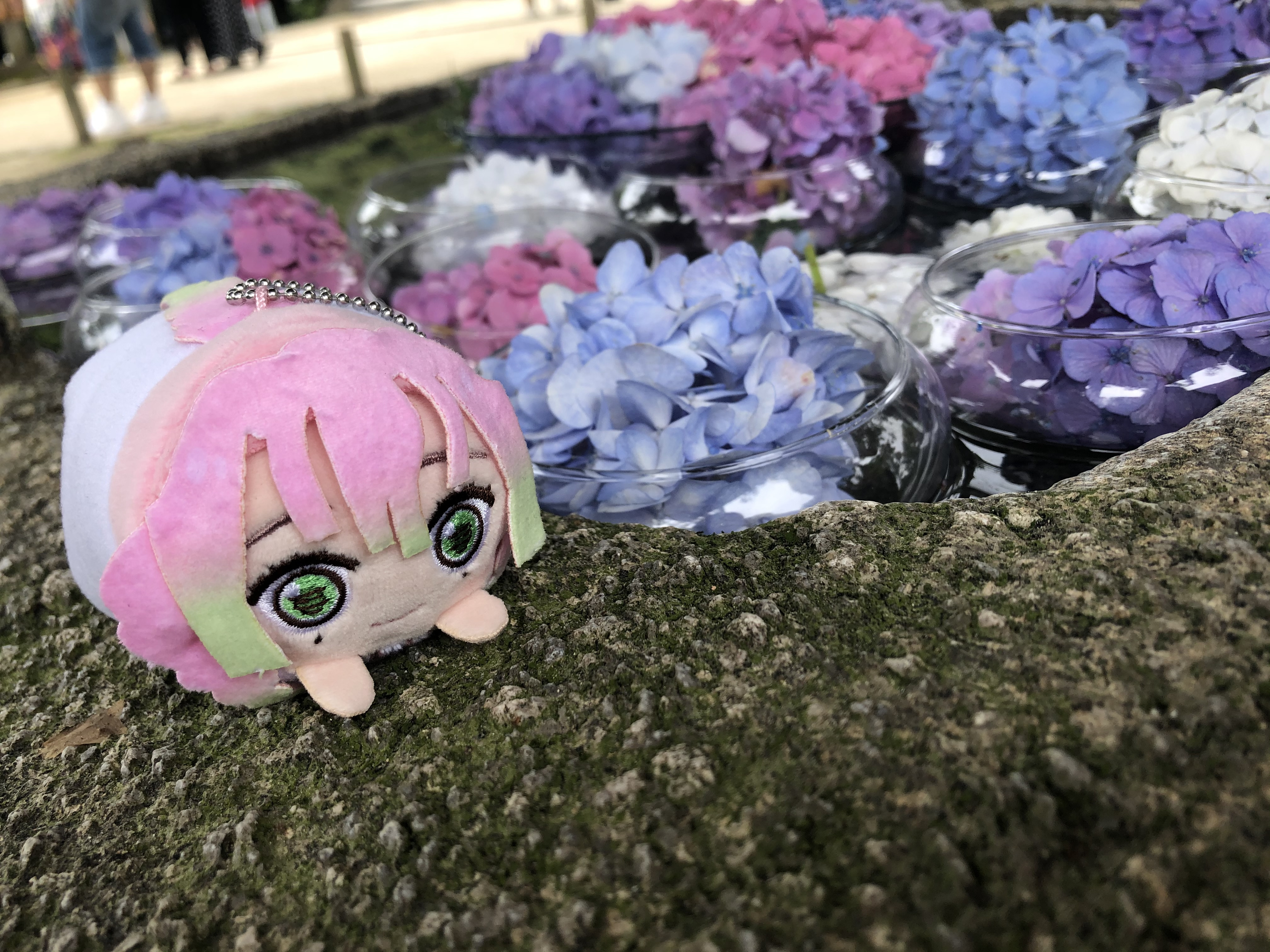 やっほ〜♪
