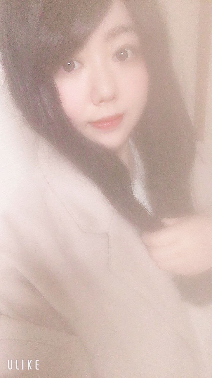 次のログイン予定