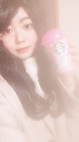 明日のログイン予定