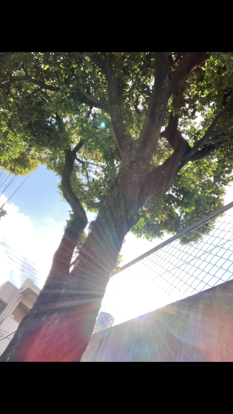 綺麗な写真撮れた♪