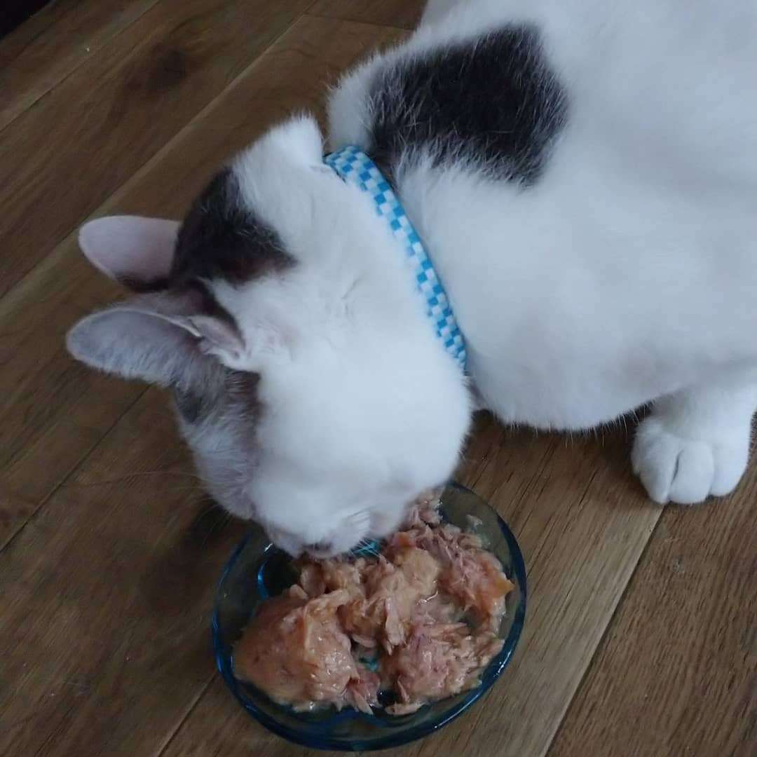 ハッピーバースデー！