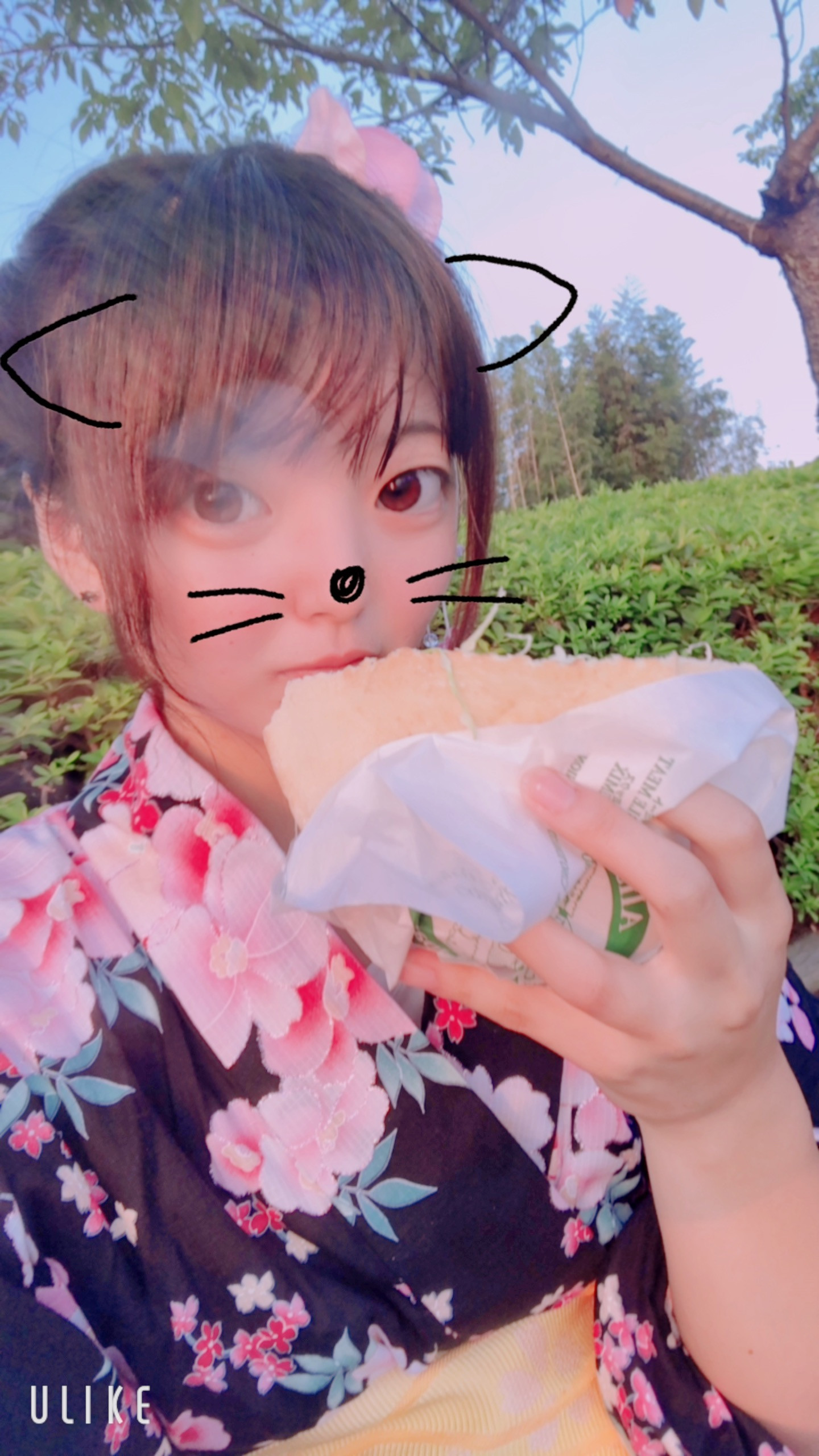 はるちゃんの2021/4/29 (木) 02:21のブログ