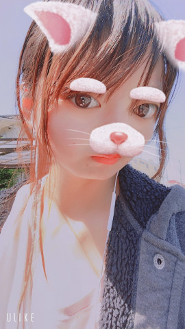 お散歩日和