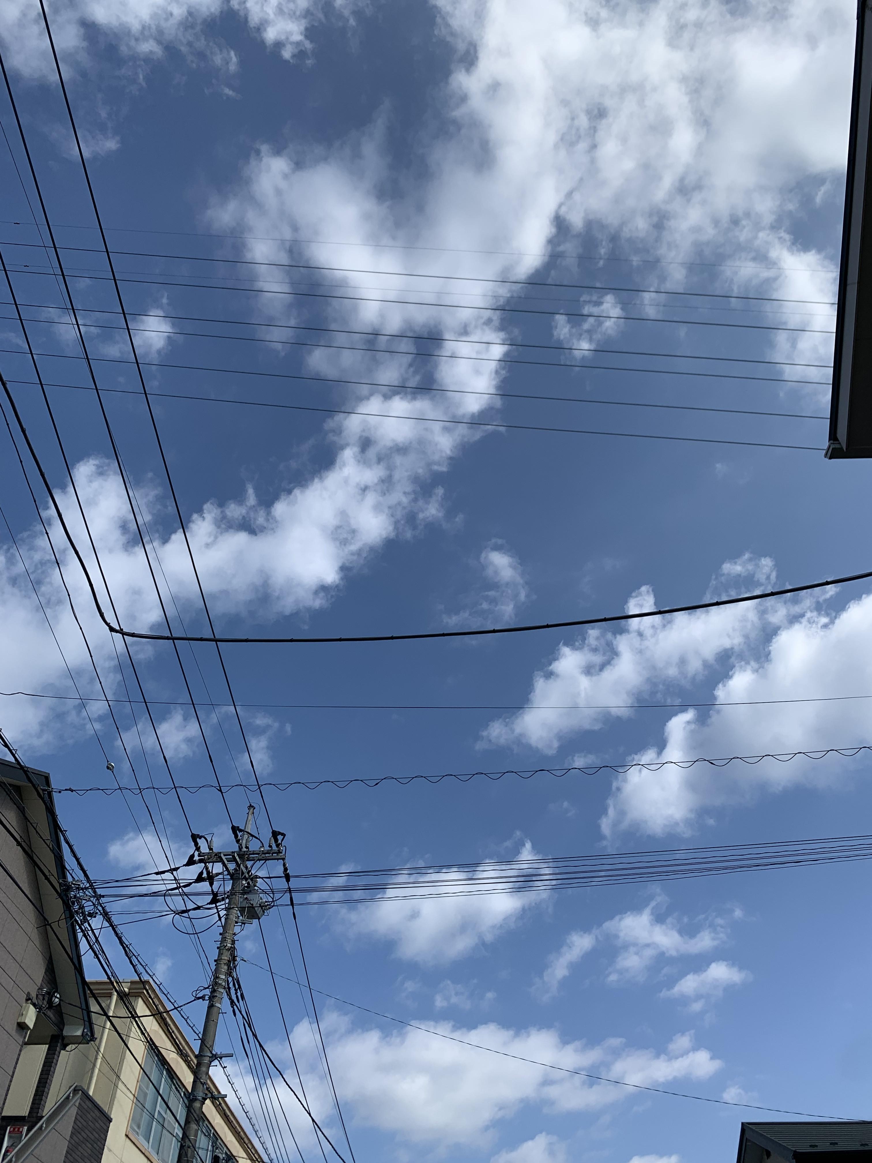 悲報