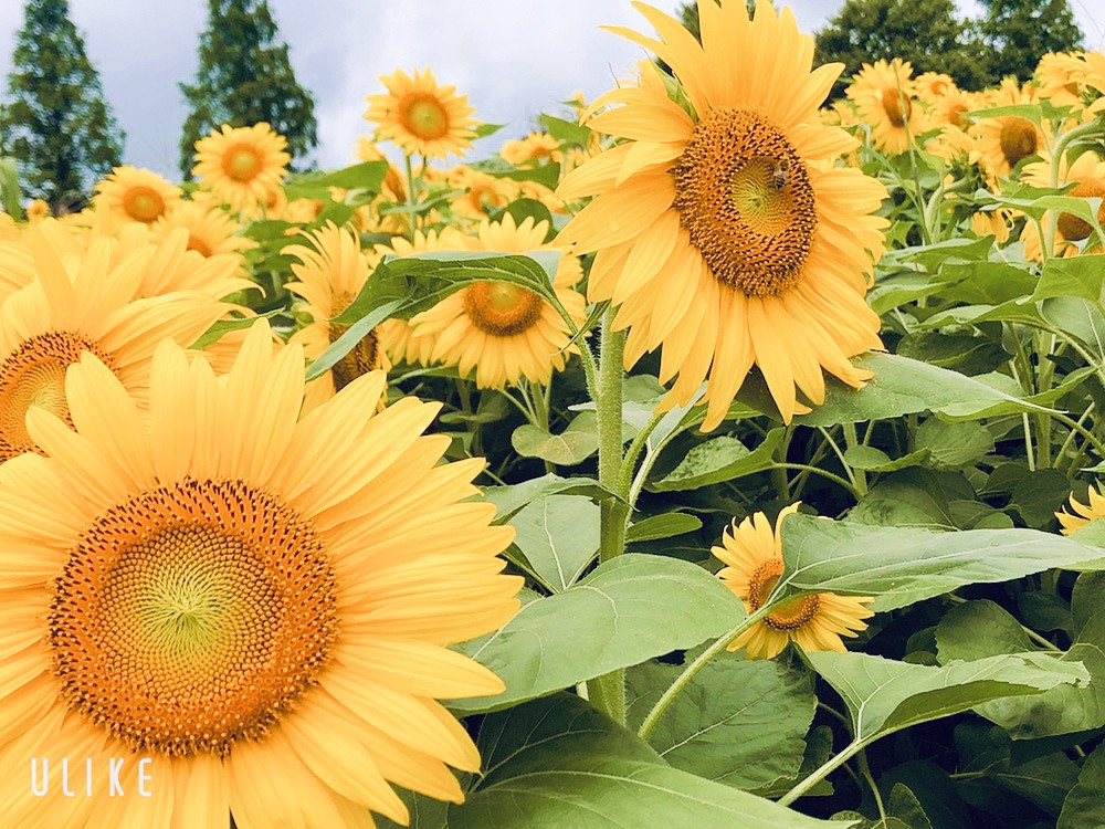 こんにちは！！