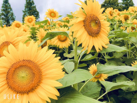 りょうちゃんの2021/5/28 (金) 12:47のブログ