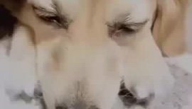 はるちゃんの2021/5/5 (水) 18:19のブログ