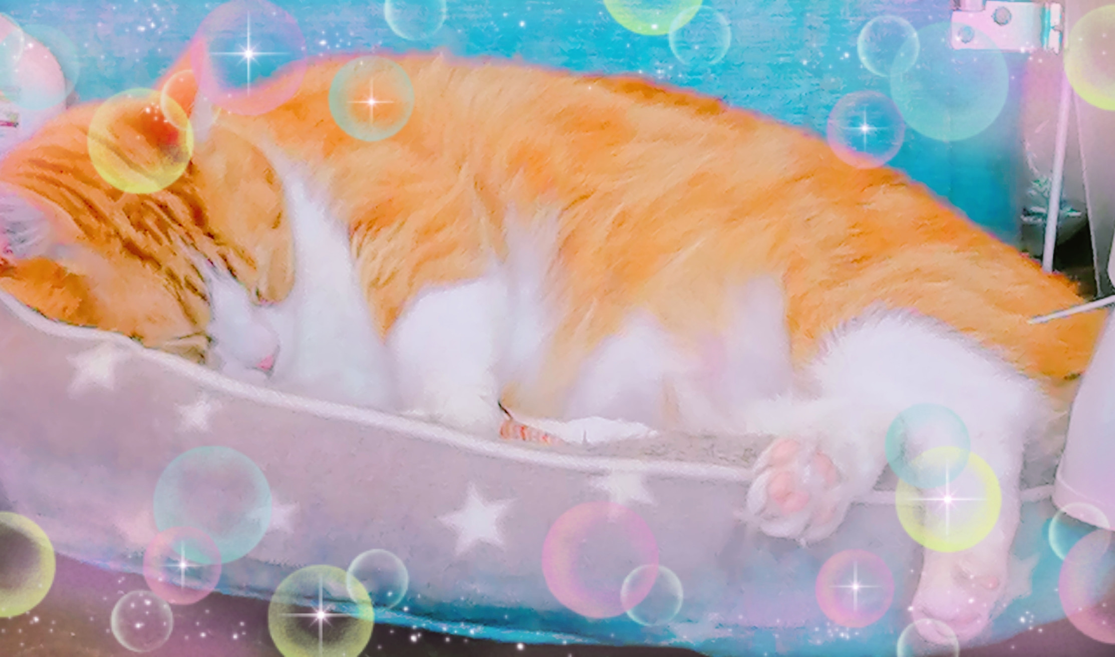 あーぁっ(?? - ?`?)