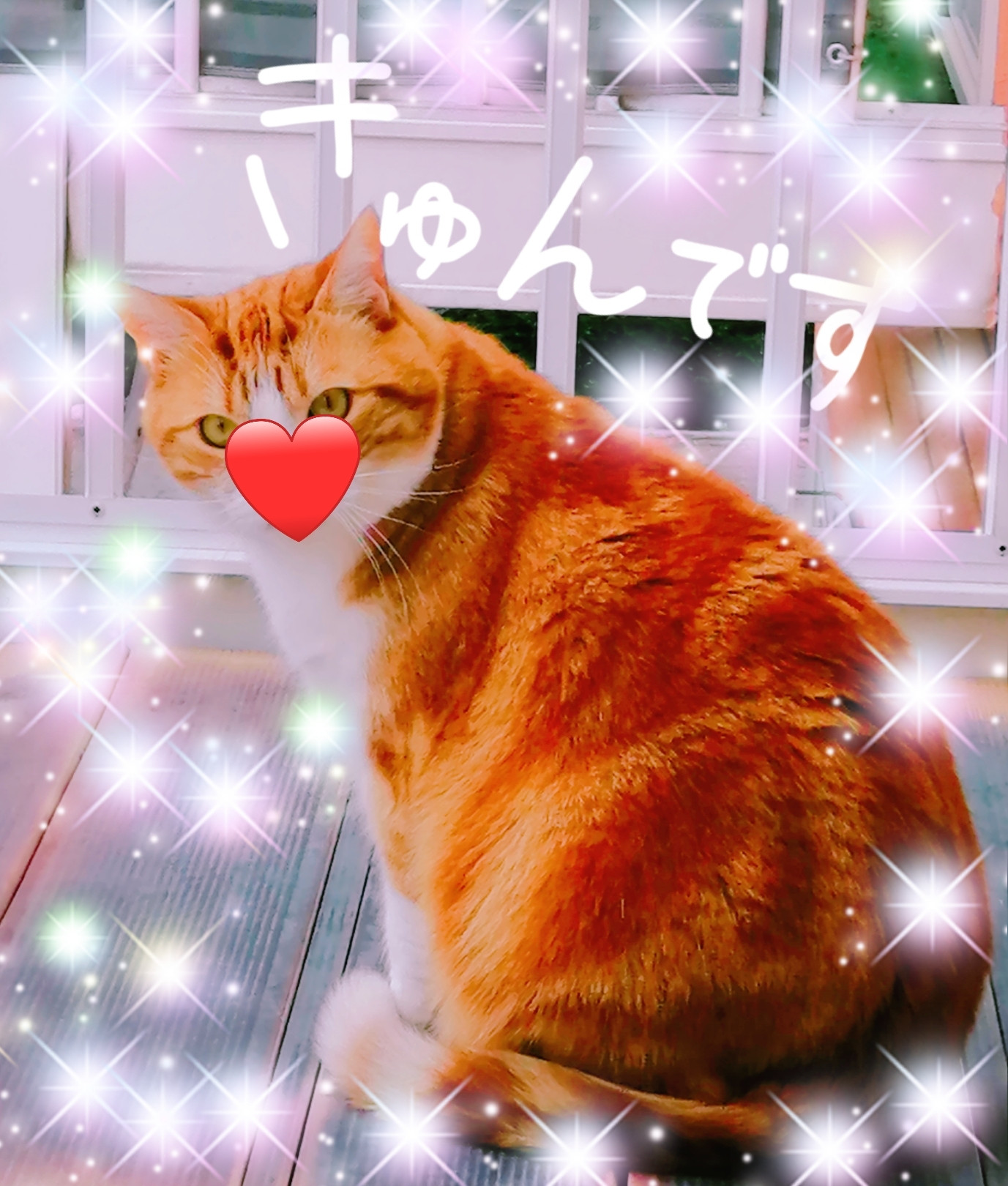 おそようからの〜