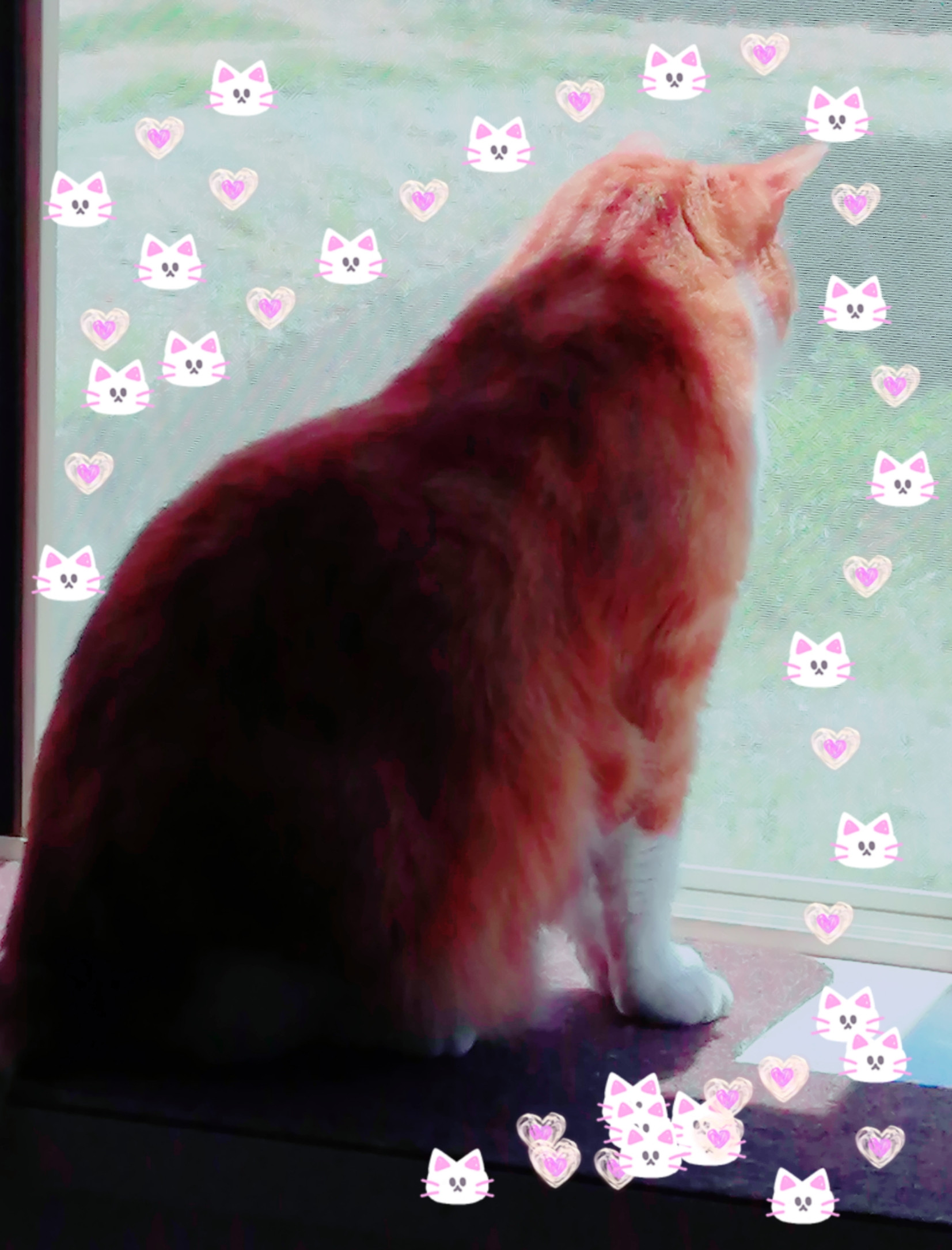 おはようございます??*.｡