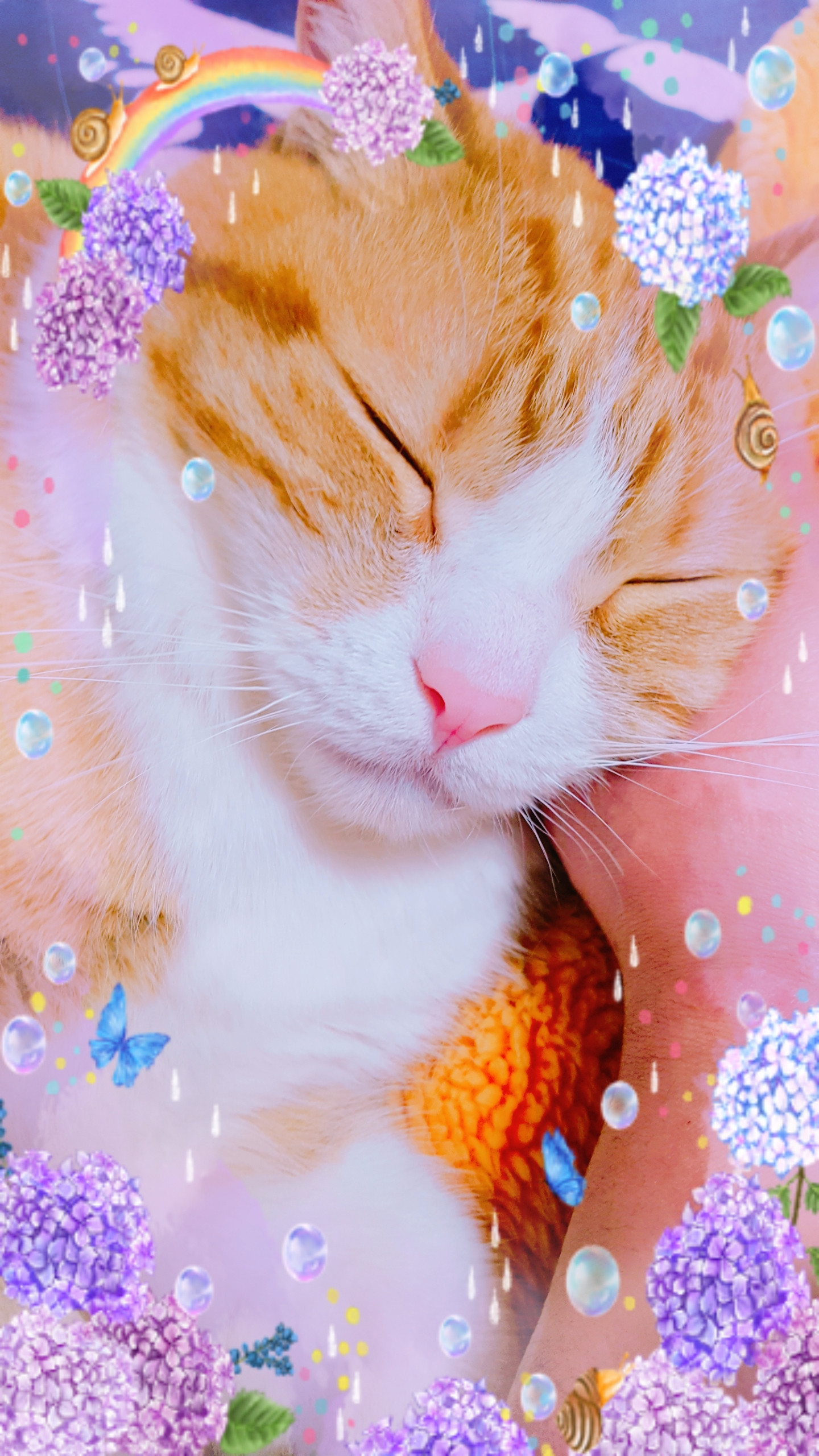 今日は('-'  ).........。