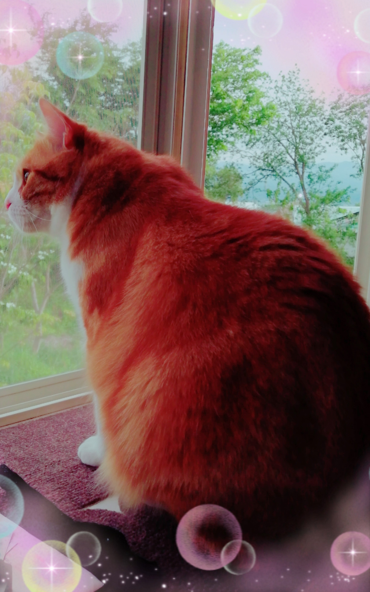 疲れたのか？（笑）