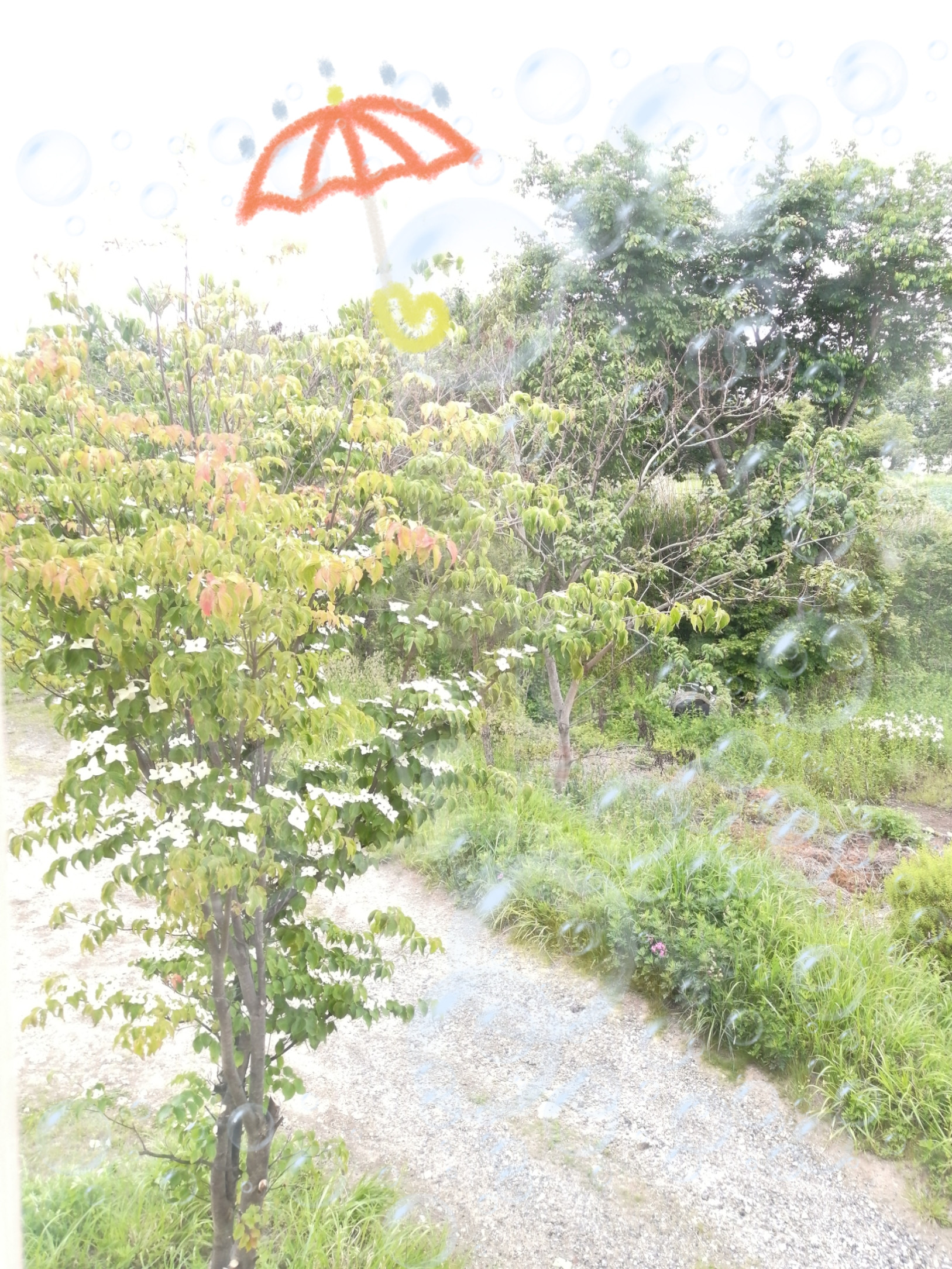 お昼だけど･･･