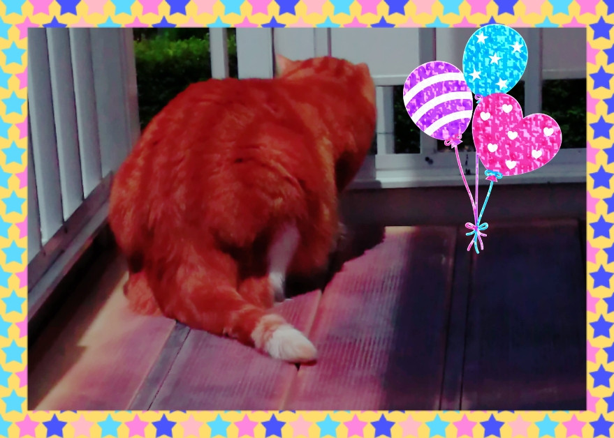 うーん(・_・;)･･･