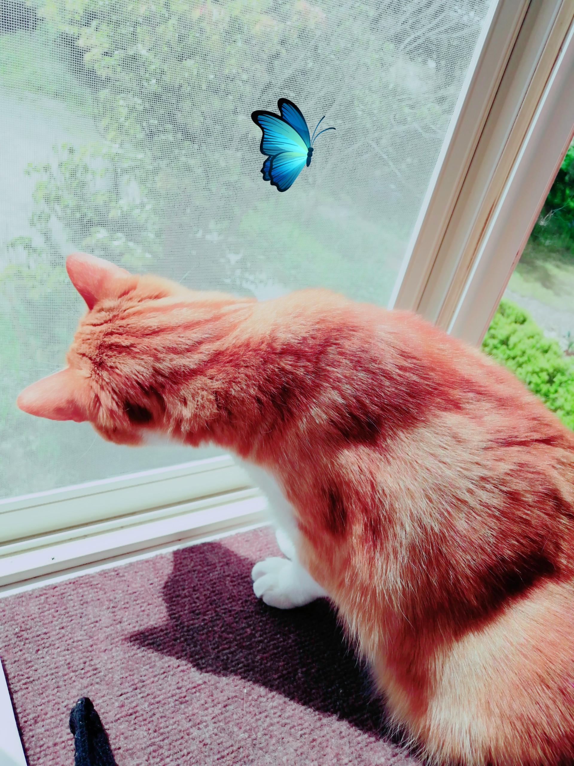 はてはて（笑）