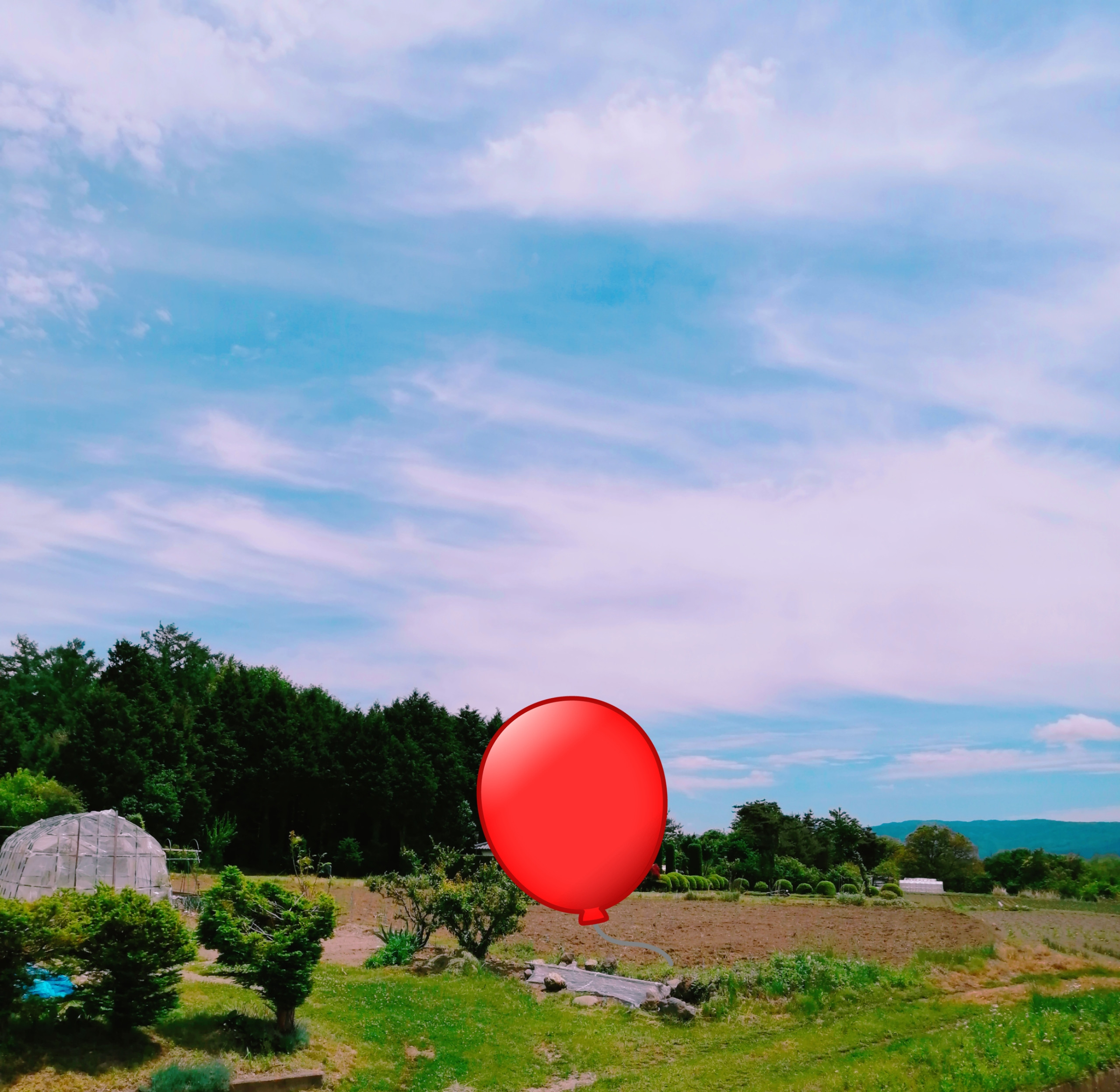 おはようございます?(*´?`*)?