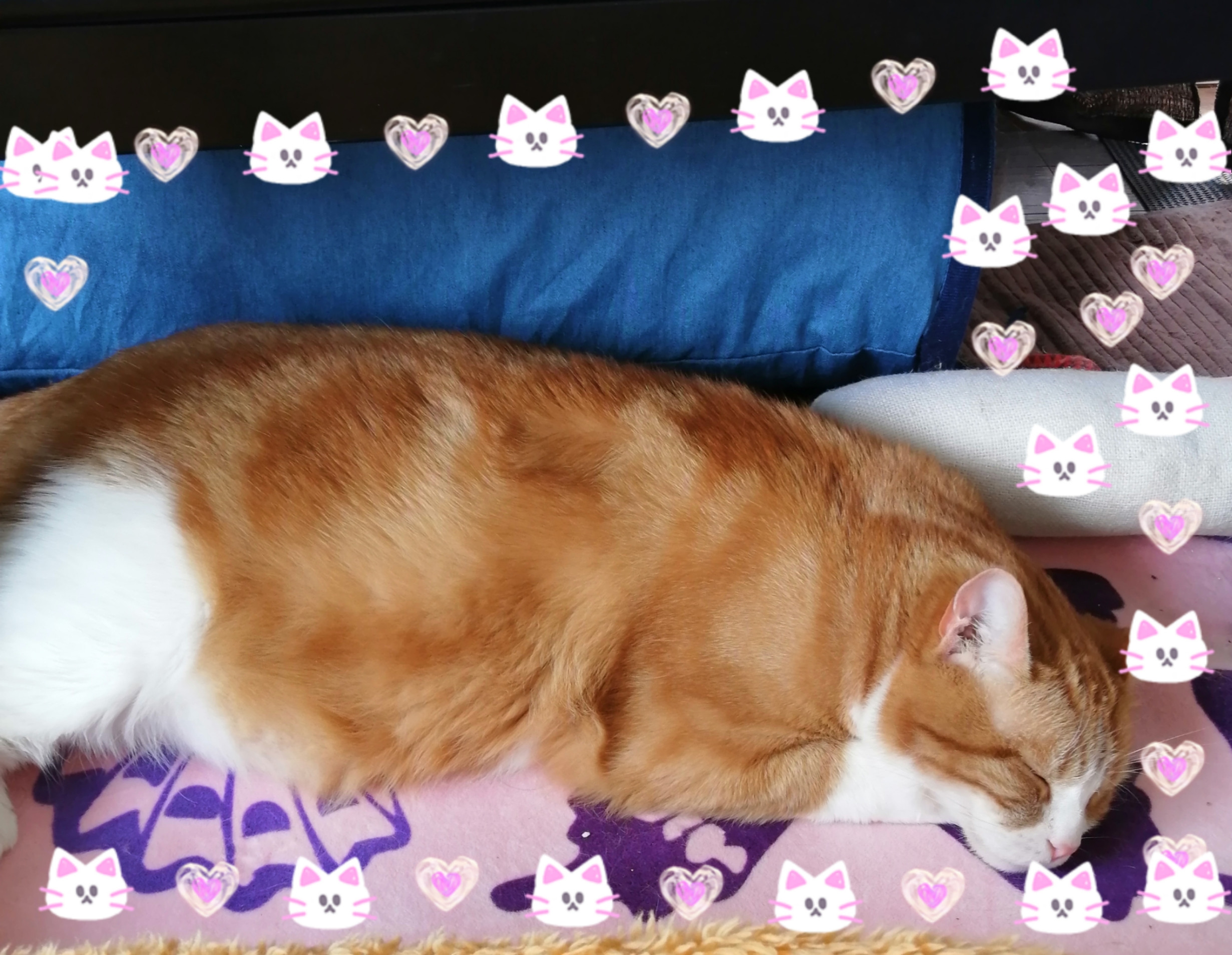 おやちゅみ(*˘ ˘*)*.。