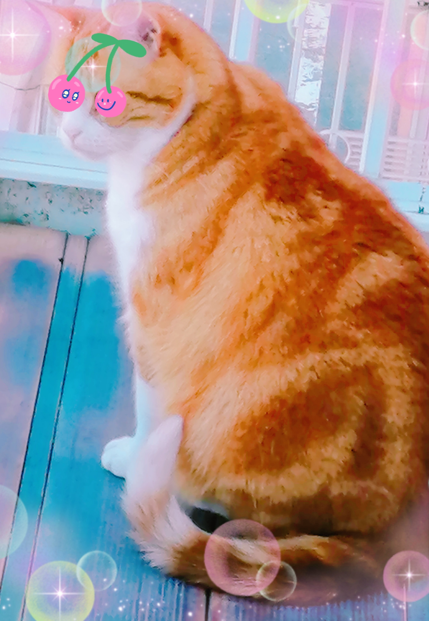 まただよ･･･（笑）