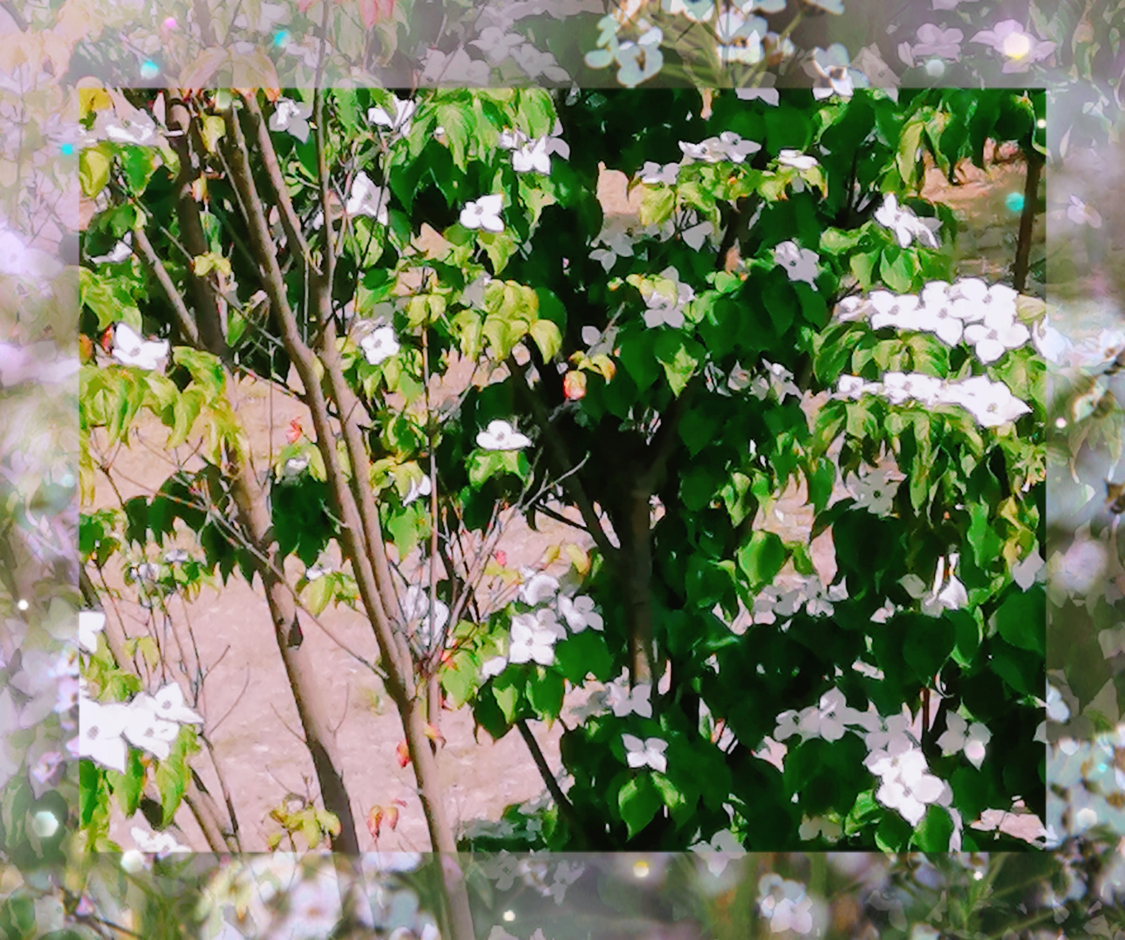 梅雨明けしてるのかな？