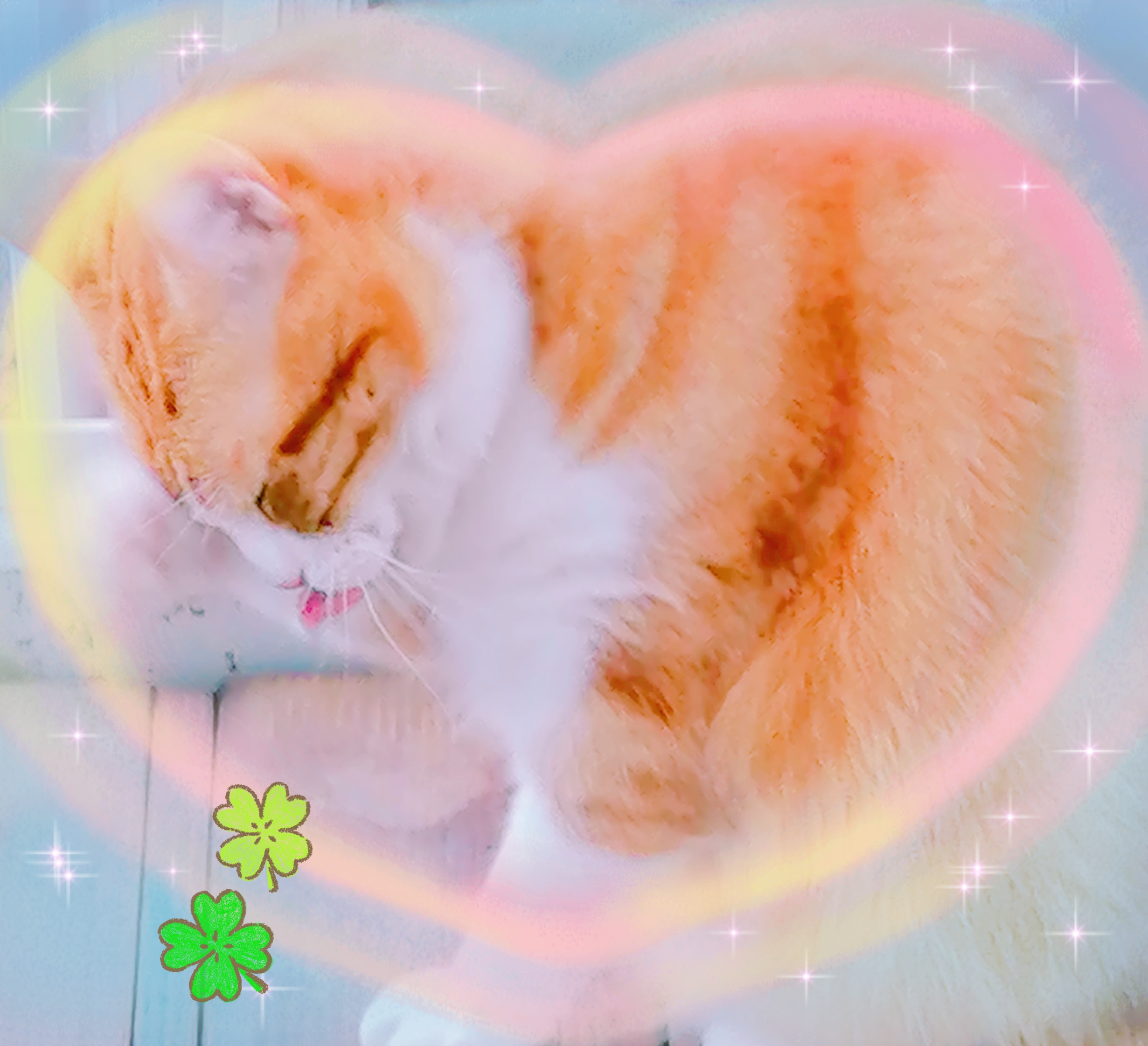 楓じゃあなくww