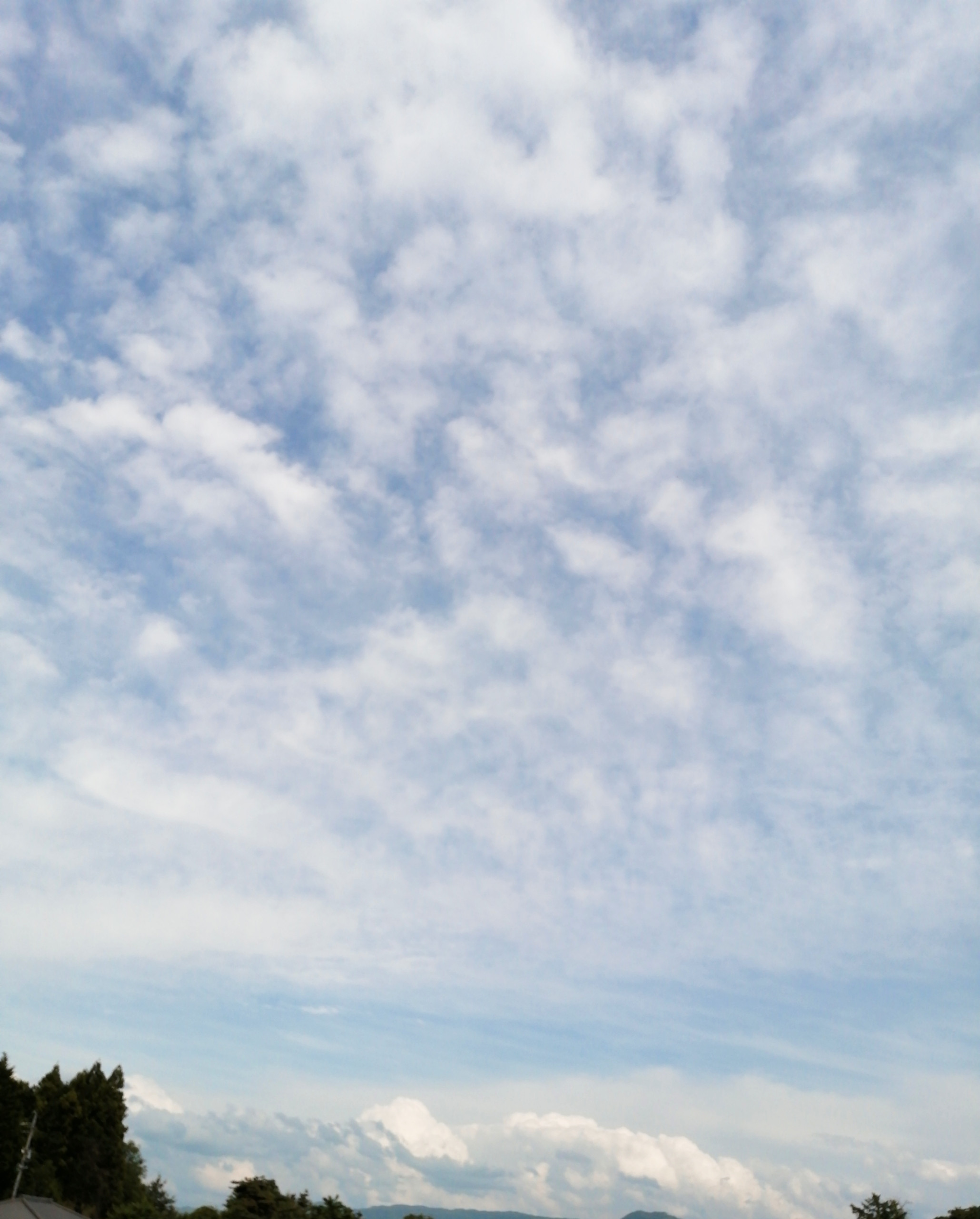 ヤッパリ夏だからだねぇ〜ww