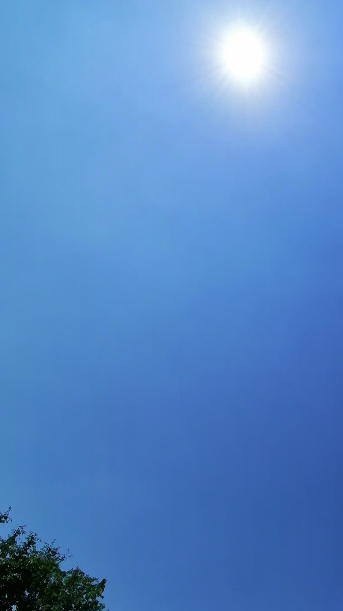 おはようございますっ