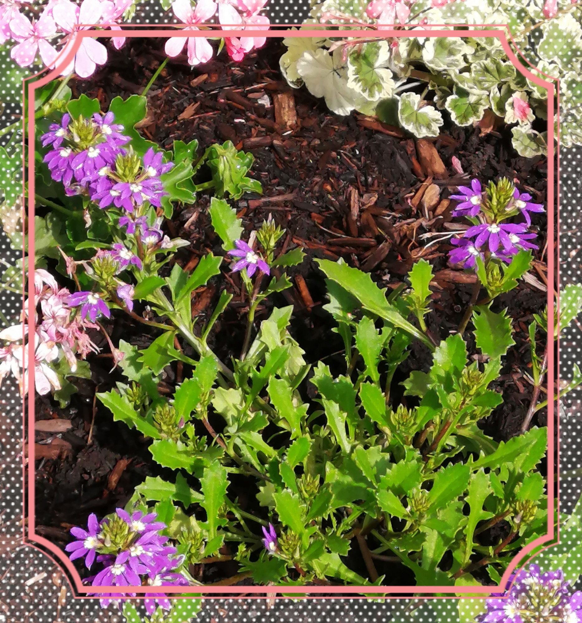 おはようございます??.°