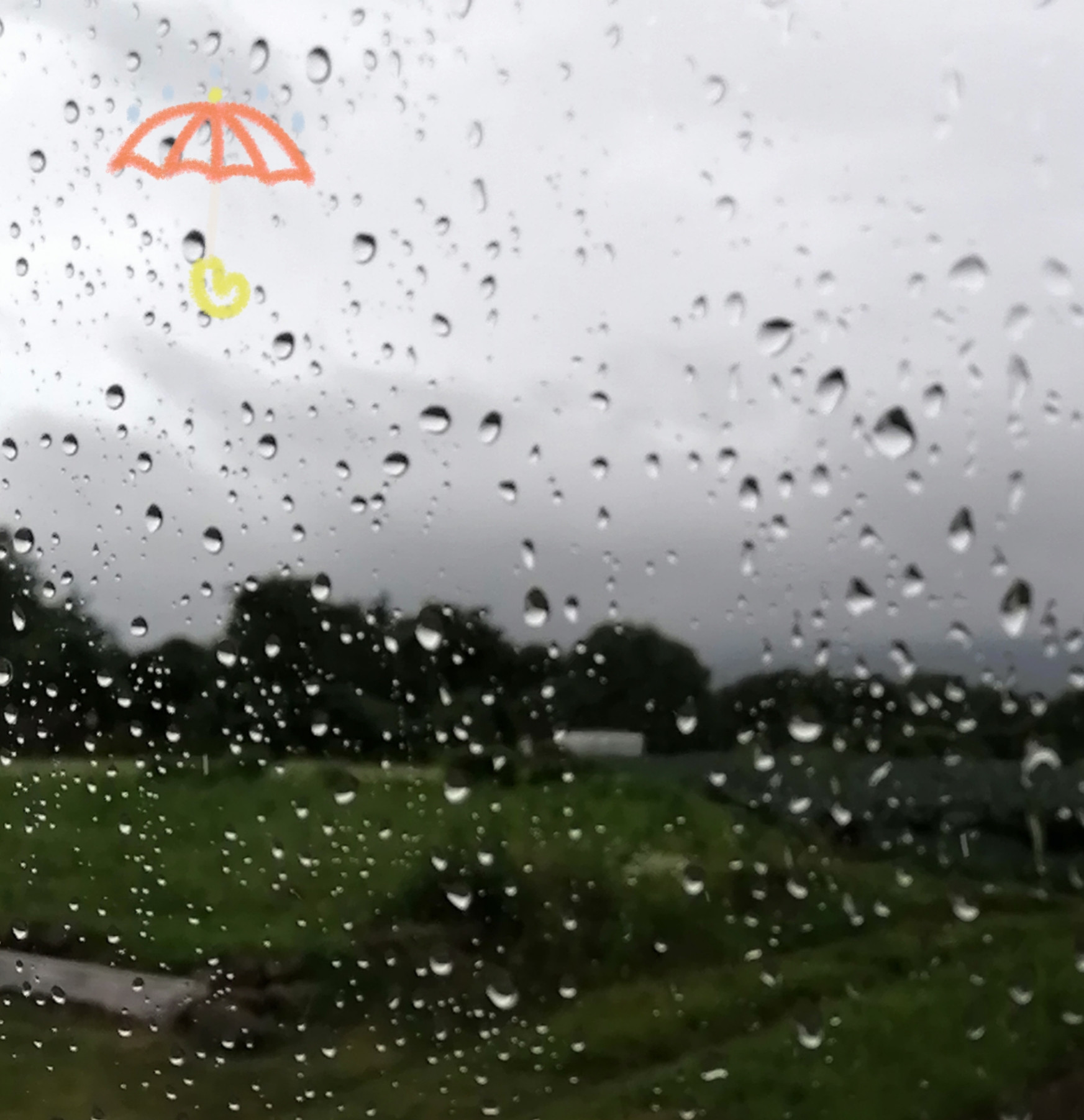 どもども(。・ω・)ﾉ