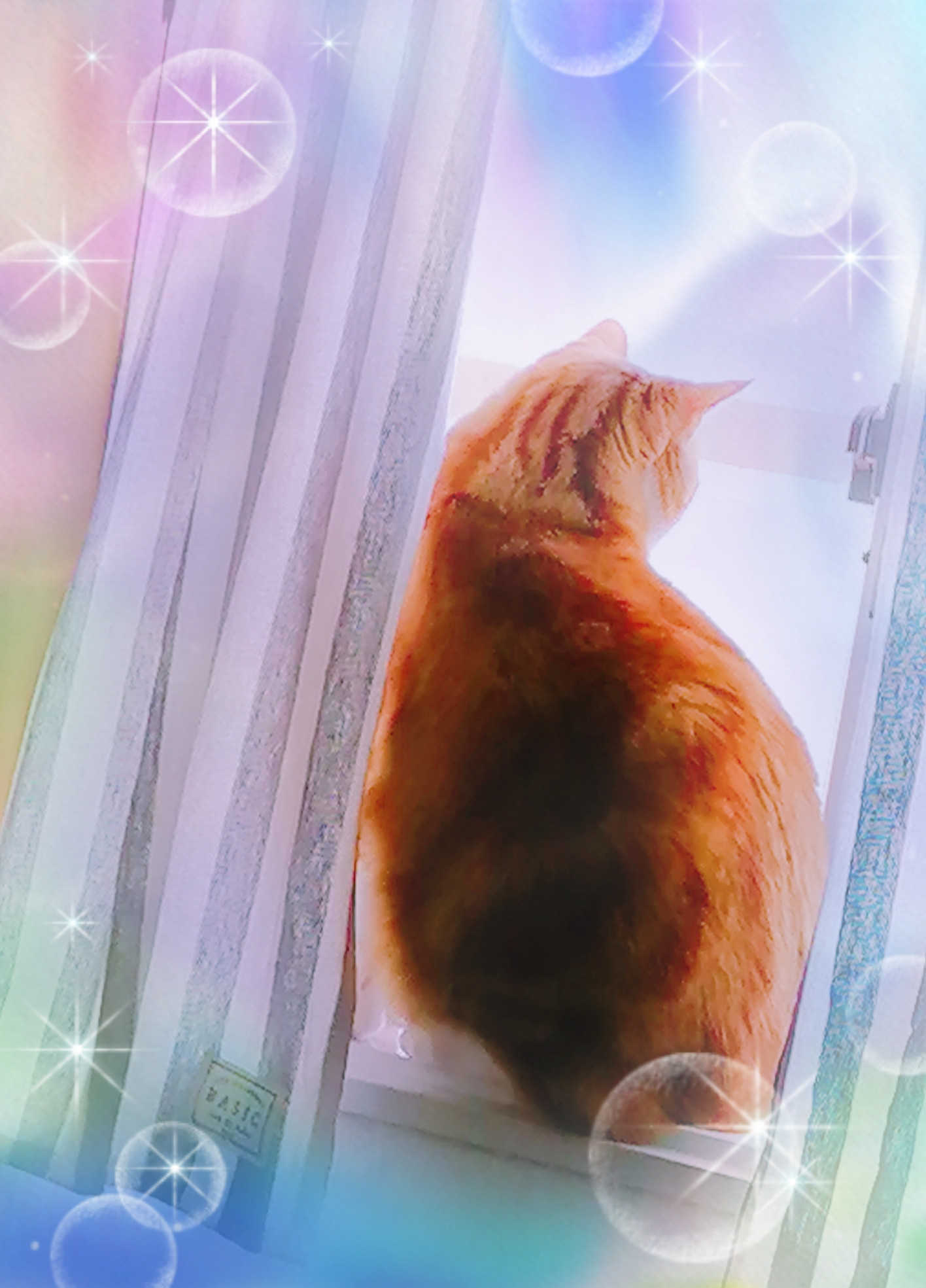 今日の･･･（笑）