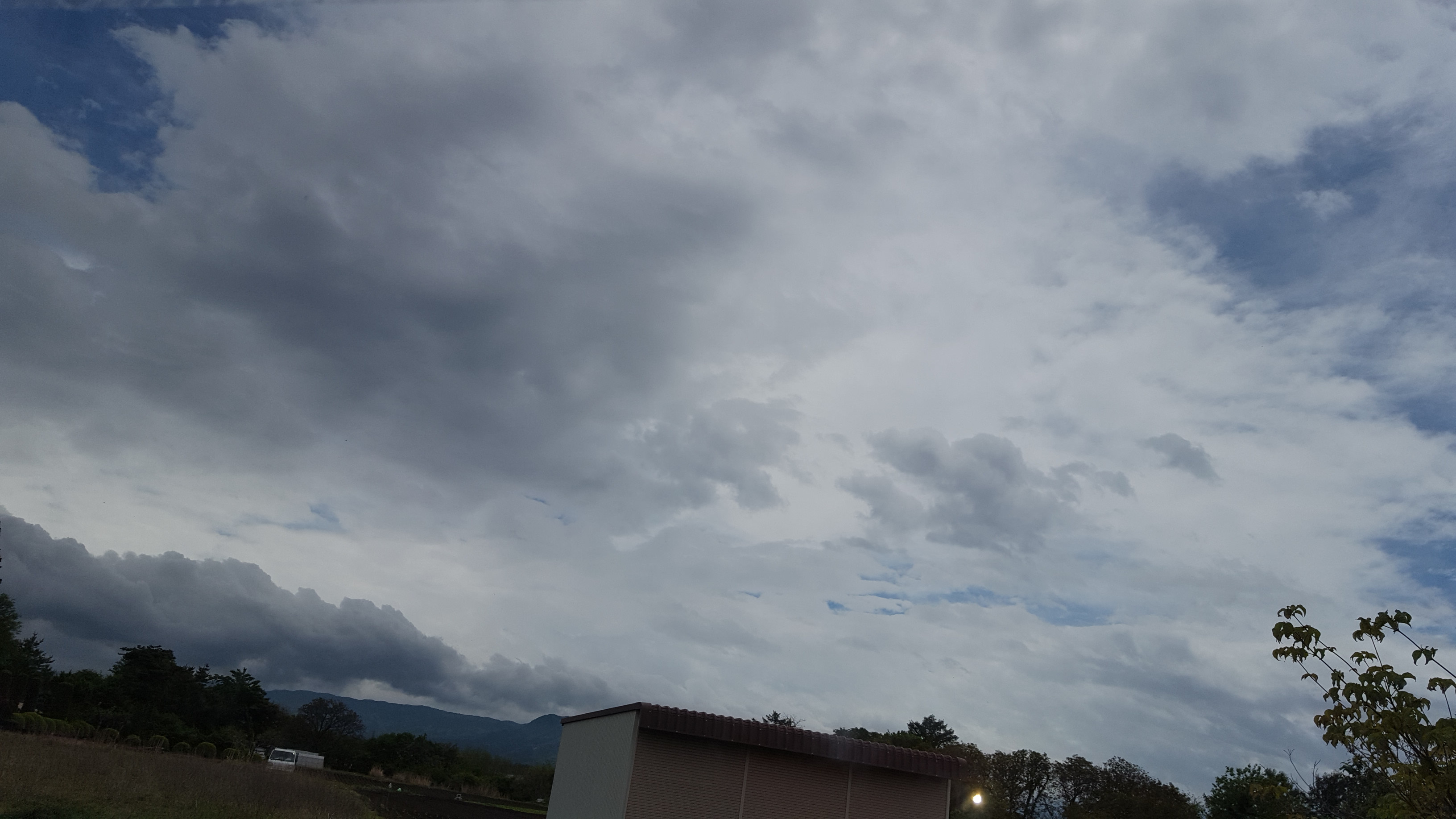 おはよう(◎ω◎)